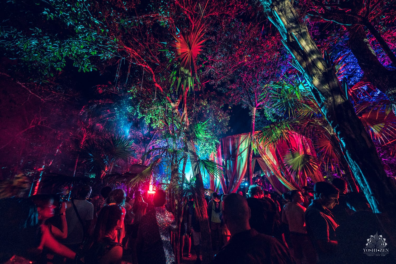 flying circus jungle cenote party blond:ish